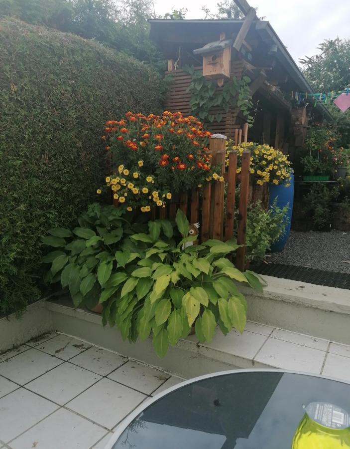 Ferienwohnung Grete Trier Exterior photo